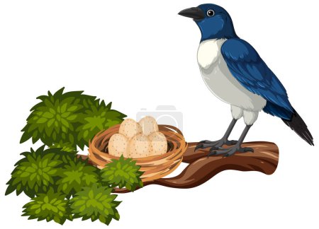 Ilustración de Ilustración vectorial de una urraca y su nido. - Imagen libre de derechos