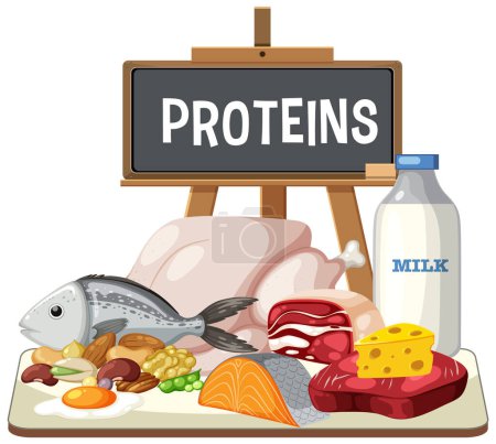 Ilustración de Ilustración de diversos alimentos ricos en proteínas en una mesa. - Imagen libre de derechos