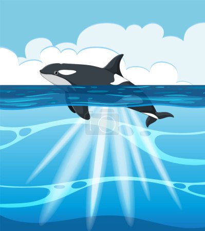 Vector illustration of an orca in a vibrant ocean.