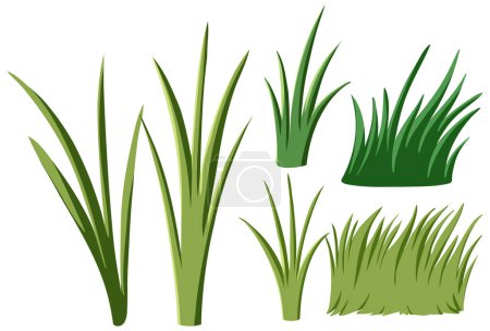 Vector set of different grass designs.