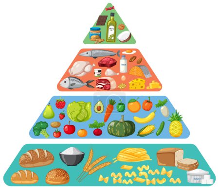 Téléchargez les illustrations : Illustration vectorielle d'une pyramide alimentaire avec divers aliments. - en licence libre de droit