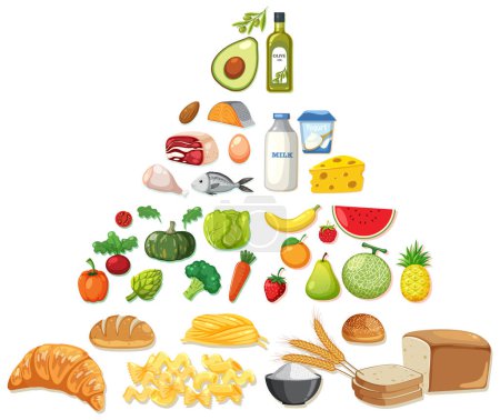 Téléchargez les illustrations : Illustration vectorielle de divers aliments sains. - en licence libre de droit