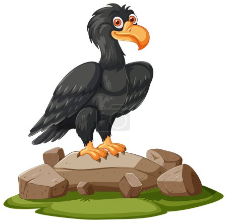 A vulture standing on rocks