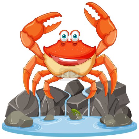 Cheerful crab standing on rocks by water