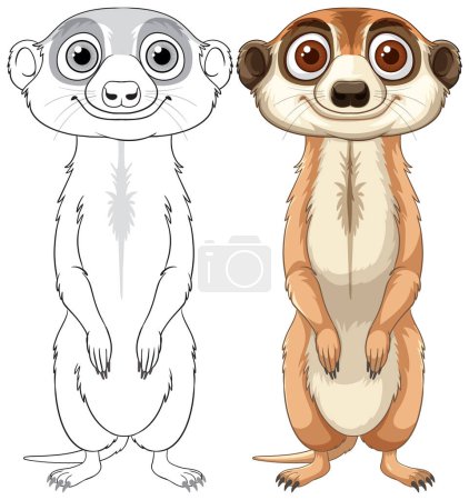 Color and outline versions of a meerkat