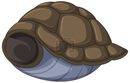 Detailed vector of a turtle shell