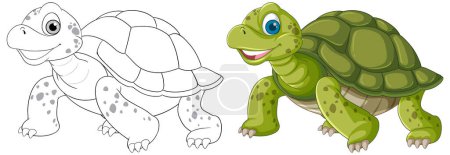 Turtle in outline and colored versions