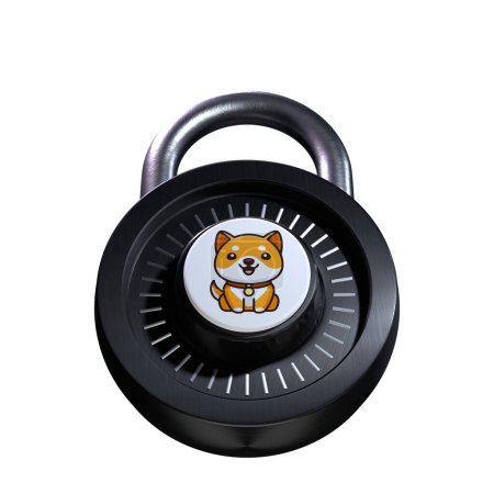 Foto de Crypto Lock Baby Doge Coin (BabyDoge) icono sobre fondo blanco - Imagen libre de derechos
