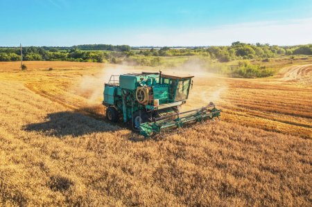 Foto de Combine cosechas cosechadoras vista aérea de trigo maduro. Campo agrícola y concepto de agricultura. - Imagen libre de derechos