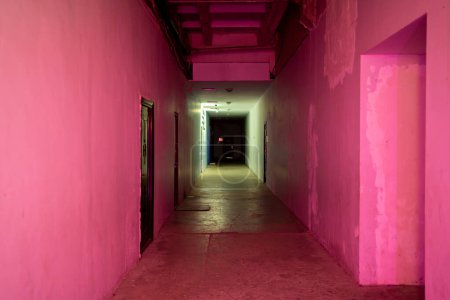 Mysterious corridor with pink and purple lights leading into darkness.