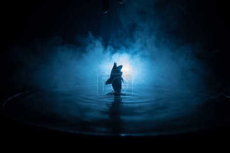 Téléchargez les photos : Concept abstrait. Silhouette de poisson (requin) sautant sur l'eau la nuit. Eau éclaboussée sur fond brouillard foncé. Concentration sélective. - en image libre de droit