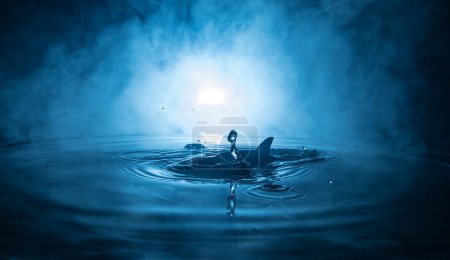 Téléchargez les photos : Concept abstrait. Silhouette de poisson (requin) sautant sur l'eau la nuit. Eau éclaboussée sur fond brouillard foncé. Concentration sélective. - en image libre de droit