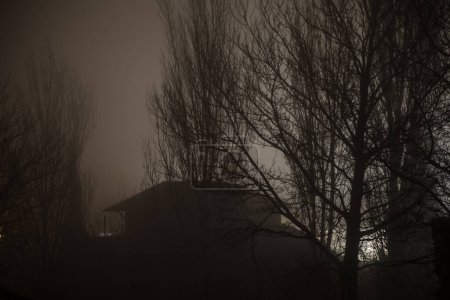 Téléchargez les photos : Vieille maison avec un fantôme dans la forêt la nuit ou maison d'horreur hantée abandonnée dans le brouillard. Ancien bâtiment mystique dans la forêt d'arbres morts. Arbres la nuit avec la lune. Des lumières surréalistes. Horreur concept Halloween - en image libre de droit