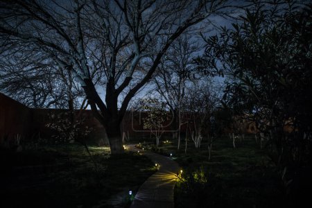 Téléchargez les photos : Vue en bas d'un escalier de galets et de poutres de bois la nuit entourée d'arbres et éclairée par un poteau lumineux. Longue photo obturateur - en image libre de droit