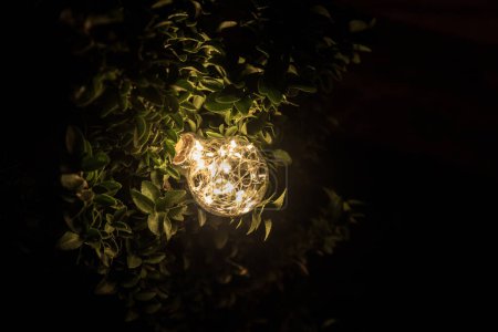 Foto de Iluminar una lámpara esférica del jardín del suelo del color blanco miente en un césped verde en la hierba en el patio trasero del parque, primer plano de un accesorio de iluminación una escena de noche en la oscuridad
. - Imagen libre de derechos