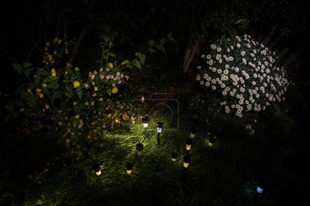 Téléchargez les photos : Petite lumière de jardin solaire décorative, lanternes dans le lit de fleurs. Design de jardin. Lampe à énergie solaire - en image libre de droit