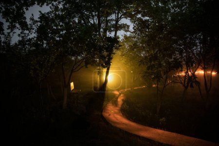Téléchargez les photos : Voie mystérieuse. Sentier pédestre dans la forêt sombre, brumeuse, automnale et mystérieuse. Plan d'exposition longue - en image libre de droit