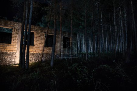 Foto de Antiguo edificio abandonado en el bosque, ruinas de fachada de fábrica industrial. Bosque de pino largo de primavera por la noche - Imagen libre de derechos