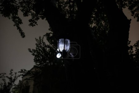 Foto de Hermosa lámpara iluminada de colores en el jardín en la noche brumosa. Linterna de estilo retro en la noche al aire libre. Enfoque selectivo - Imagen libre de derechos