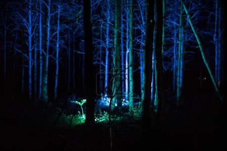 Photo for Magical lights sparkling in mysterious forest at night. Nightmare pine forest. Long exposure shot - Royalty Free Image