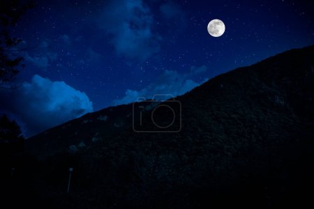 Téléchargez les photos : Paysage mystique de la pleine lune se levant sur une grande prairie verte avec des arbres à Forest ; Skyline Silhouette - en image libre de droit
