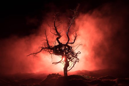 Téléchargez les photos : Silhouette de l'arbre effrayant Halloween sur fond sombre brumeux avec la lune sur le côté arrière. Horreur terrifiante hiver forêt morte la nuit. focus sélectif - en image libre de droit