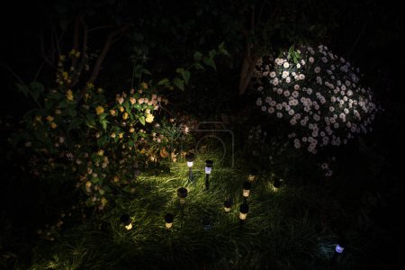 Téléchargez les photos : Petite lumière de jardin solaire décorative, lanternes dans le lit de fleurs. Design de jardin. Lampe à énergie solaire - en image libre de droit