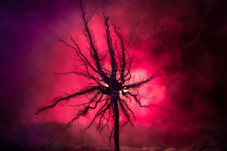 Téléchargez les photos : Silhouette de l'arbre effrayant Halloween sur fond sombre brumeux avec la lune sur le côté arrière. Horreur terrifiante hiver forêt morte la nuit. focus sélectif - en image libre de droit