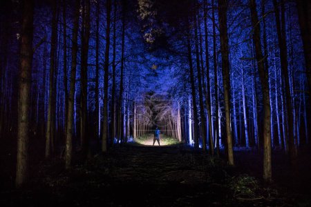 Téléchargez les photos : Silhouette de personne debout dans la forêt sombre avec de la lumière. Horreur concept d'Halloween. étrange silhouette dans une sombre forêt effrayante la nuit - en image libre de droit