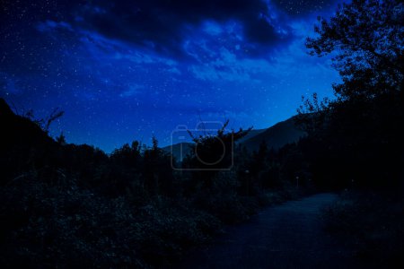 Foto de Paisaje místico de Luna Llena Levantándose sobre un alto prado verde con árboles en Forest; Skyline Silhouette - Imagen libre de derechos