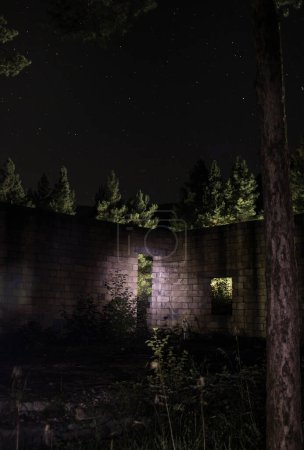Photo for Old abandoned building in forest, Facade ruins of industrial factory. Spring long pine forest at night - Royalty Free Image