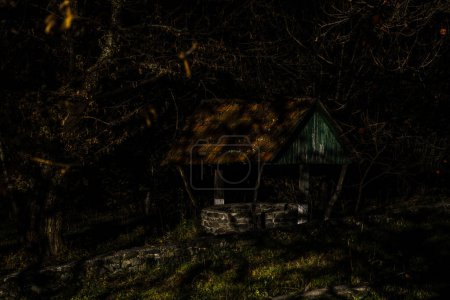 Téléchargez les photos : Abandonné style gothique puits dans la forêt la nuit. Concept de peur et de danger. Concept Halloween - en image libre de droit