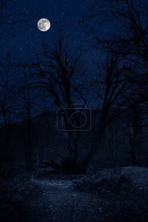 Téléchargez les photos : Mountain Road à travers la forêt par une nuit de pleine lune. Paysage nocturne pittoresque de la route de campagne la nuit avec grande lune. Azerbaïdjan nature - en image libre de droit