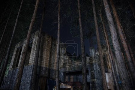 Photo for Old abandoned building in forest, Facade ruins of industrial factory. Spring long pine forest at night - Royalty Free Image