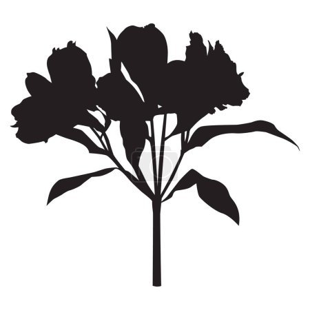 Ilustración de Silueta negra de Alstroemeria. Flor tropical de lirio peruano, ilustración vectorial aislada sobre fondo blanco. - Imagen libre de derechos
