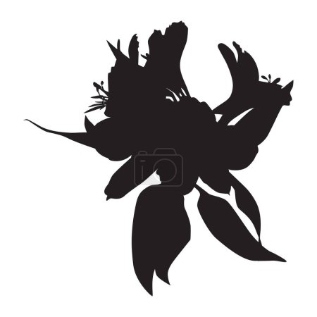 Ilustración de Silueta negra de Alstroemeria. Flor tropical de lirio peruano, ilustración vectorial aislada sobre fondo blanco. - Imagen libre de derechos