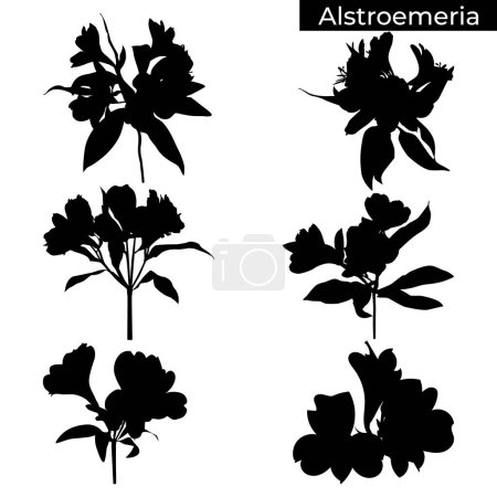 Ilustración de Alstroemeria flor siluetas negras. Conjunto de plantas tropicales de lirio peruano, ilustración vectorial aislada sobre fondo blanco. - Imagen libre de derechos
