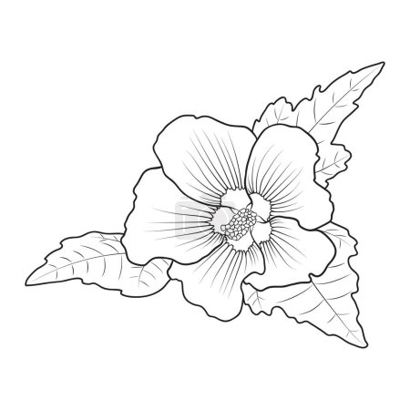 Illustration for Hardy hibiscus syriacus outline, botanical vector illustration. Perennial hibiscus flower coloring book page. - Royalty Free Image