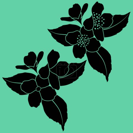 Blooming Philadelphus virginal silhouettes, spring jasmine flower twig stencils, vector illustration.