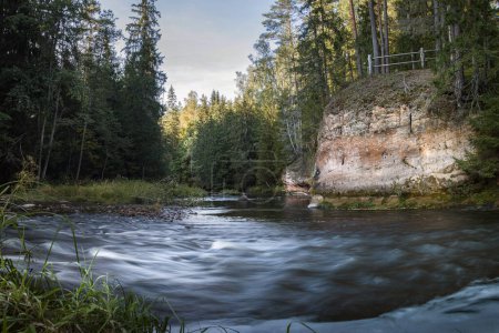 Amata river and forest in morning, Gauja National Park, Latvia