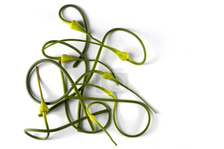 Bunch of Vibrant Green Garlic Scapes on White Background