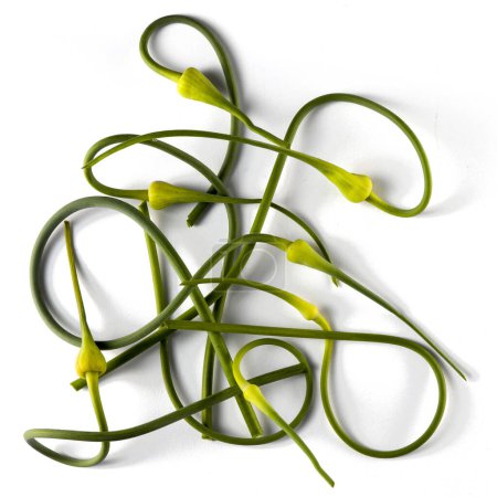 Bunch of Vibrant Green Garlic Scapes on White Background