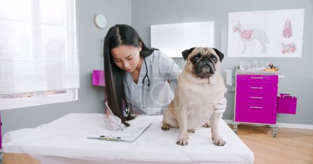 Foto de Female veterinarian standing in hospital while writing in documents diagnoses and looking on the dog sitting on veterinary examination table - Imagen libre de derechos