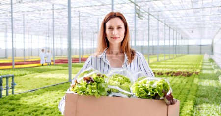 Retrato de mujer caucásica con ropa casual sosteniendo la caja de verduras orgánicas mientras está de pie en el vivero del invernadero con sistema hidropónico. Granja ecológica y concepto de alimentos saludables.