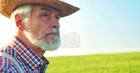 Foto de Retrato del hombre mayor con barba en el campo verde en el cielo azul fondo día soleado. Rostro de campesino en la naturaleza veraniega. Concepto de la gente agrícola - Imagen libre de derechos