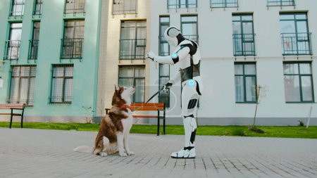 Young cute dog jumping on hind legs and asking for tasty snack from humanoid robot hands. Outdoor training of husky with using of artificial intelligence.