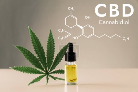 Photo for Closeup image legalized CBD oil in bottle with dropper lid with leafs and formula hexagon structure of biochemistry on empty background. CBD oil extract from legalized cannabis concept. - Royalty Free Image