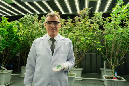 Homme scientifique tenant le cannabis gratifiant feuilles de chanvre vert sur sa main à l'intérieur curative ferme de cannabis intérieur avec la marijuana ferme de cannabis dans les installations de culture comme fond.