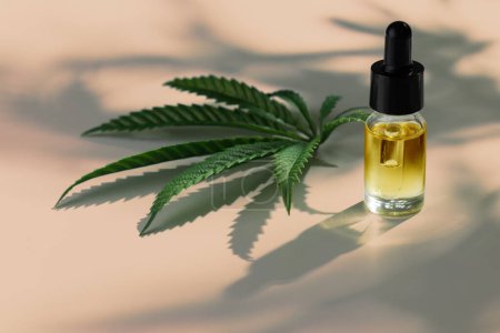 Set of marijuana features with CBD oil product on glass bottle with dropper lid, hemp leaf and dry bud, hemp leaf and bud arranged on empty background. Cannabis product concept.