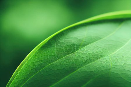 Foto de Fondo de hoja verde vista de cerca. Follaje de la naturaleza abstracto de la textura de las hojas para mostrar el concepto de negocio verde y ecología para la vegetación orgánica y el fondo del producto natural. Ilustración 3D. - Imagen libre de derechos